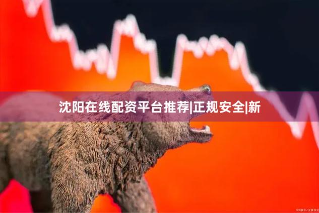 沈阳在线配资平台推荐|正规安全|新